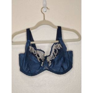 Blue Sheer Mesh With Gold Detail Intimate Hook and Eye Closure Lingerie Sz 34 FF